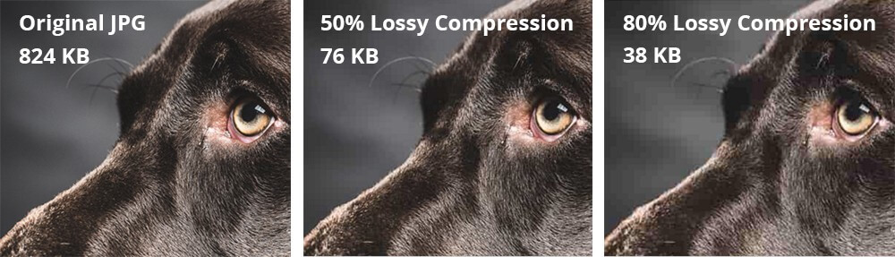 jpeg lossy compression